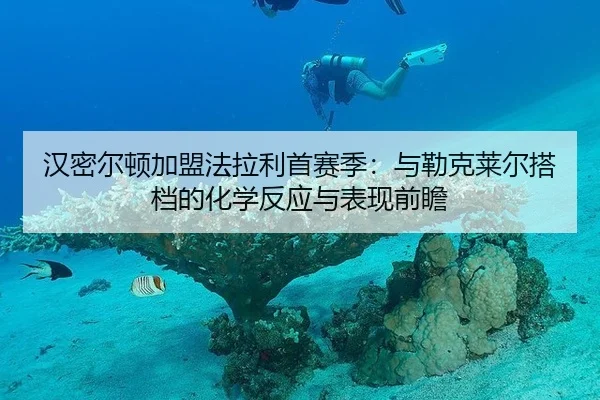 汉密尔顿加盟法拉利首赛季：与勒克莱尔搭档的化学反应与表现前瞻