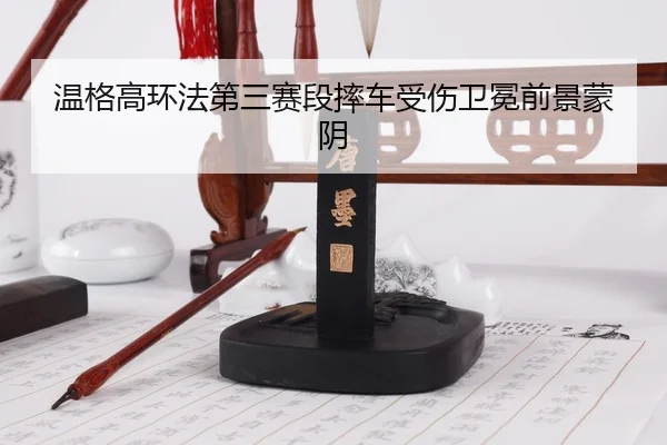 wen-ge-gao-huan-fa-di-san-sai-duan-shuai-che-shou-shang-wei-mian-qian-jing-meng-yin-2-116.jpg