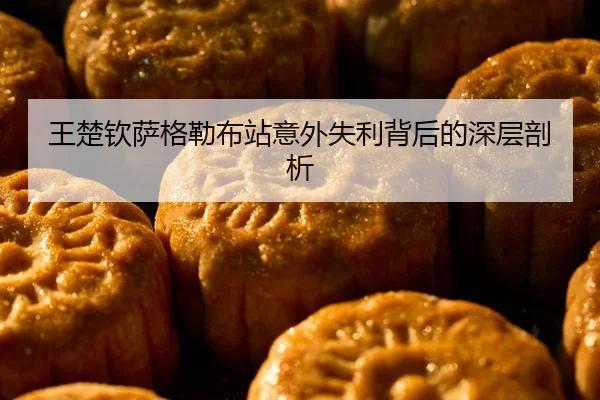 王楚钦萨格勒布站意外失利背后的深层剖析